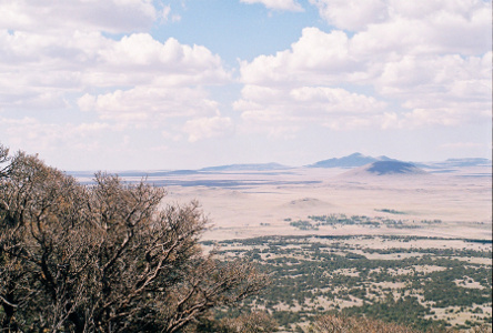 [Mountains in distance skyline with tree dots on nearby plains.]